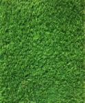 SRILANKA Gazon Artificial Sri Lanka, Inaltime Fir 30 mm, Latime 1m, Marime 100 x 200 cm, Verde, Antialergic, Polipropilena, Curte, Terasa, Balcon, Piscina, Loc de Joaca, Gradinita, Cresa
