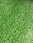 SRILANKA Gazon Artificial Sri Lanka, Inaltime Fir 40 mm, Latime 1m, Marime 100 x 200 cm, Verde, Antialergic, Polipropilena, Curte, Terasa, Balcon, Piscina, Loc de Joaca, Gradinita, Cresa