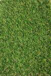 Jakarta Gazon Artificial Jakarta, Inaltime Fir 20 mm, Latime 2m, Marime 200 x 1700 cm, Verde cu Insertii Fire Iarba Uscata, Polipropilena, Antialergic, Curte, Terasa, Piscina, Loc de Joaca, Gradinita, Cresa