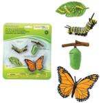Safari Ltd Safari® Ciclu de viață al fluturelui monarh (S622616) Figurina