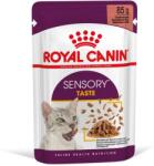 Royal Canin FHN Sensory Taste Gravy 36 x 85 g