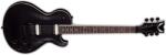 Dean Guitars Thoroughbred X Floyd Black Satin