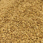 Paleolit Görögszénamag egész 25kg lédig Fenugreek seeds - paleocentrum