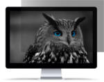 NATEC Owl 60, 5 cm (23.8") Monitor Keret nélküli betekintésvédő fólia (NFP-1477)
