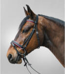 STAR Kombinált orrszíj lovagló zablával Star Diamond lila|rózsaszín