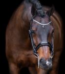 Imperial Riding Lovagló zablák Imperial Riding Olympia póni fekete|szürke