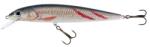 JAXON holo select fish max lures 21, 0cm f ksy (VJ-W21FKSY) - nextfish