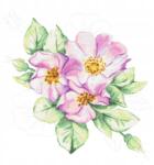 Coricamo Keresztszemes hímzés Hímző szett Csipkebogyó virágok Rózsaszín virág (Z 10538)