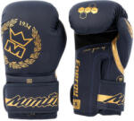 MONTANA Edző kesztyűk Montana Energy Poseidon 14 OZ kék