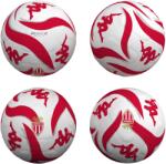 KAPPA AS Monaco labda Player 20.3H 2024/25 5 fehér|vörös