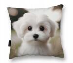  Párna 40X40 Máltai Kutyával Máltai nagy puha alvó boglárka (P2D 004)