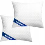 Strefa Spania Párnák 40x60 cm 2 Db Steppelt Antiallergén Cipzáras, Oeko-Tex (2xpodcla4060sr)