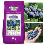 Green Oro Tőzegáfonya műtrágya 5kg hosszantartó hatású 100 napig Oro Bilberry (Nawóz do Borówki Amerykańskiej 5kg 100dni)