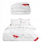 Softimi Antiallergén Egész Éves Paplan 180X200 2 Db 70X80-AS Párna Szett Lengyel (QUILT-180X200-300+2X70X80)