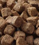 Premium Daily Food Liofilizált Artemia haltáp 100 g