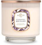 Colonial Candle Luxus gyertya dobozban Bodza rebarbara (665098528449)