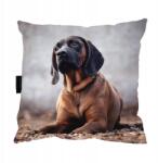  Bajor Kutyapárna 40x40 Ajándék (posokowiecbawarski1)