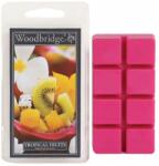 Woodbridge Candle Illatos viasz Trópusi gyümölcsök Woodbridge 68 g (5060457521041)