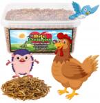  Lisztbogár Lárva Szárított Rovarok Madár Eledele Tyúkok Számára 900G 5L