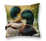  Párna 40X40 Kacsa nagy puha alvó boglárka dekoráció (Poduszka z kaczką kaczka 40x40 miękka)
