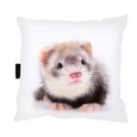  Görénypárna görénnyel 40x40 alváshoz Ajándék