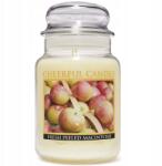 Cheerful Candle Illatos gyertya üvegben, alma illattal Fresh Peeled Apple Cheerful Candle (674623300573)