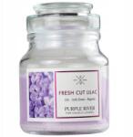 Purple River Szójaviasz illatgyertya Purple River Lilaakác illattal, 113 g (4260725363712)