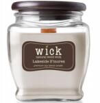 Colonial Candle Szójaviasz illatgyertya sült mályvacukor illattal, Lakeside Smores, 425g (665098611639)