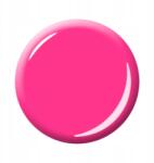 Alessandro Striplac Hibrid Lakk 183 Jungle Flower 1E95 (4025087481944)