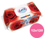 Lara Rózsa kupakos törlőkendő 12x120 db