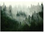 Wallarena Fali Fotótapéta Hálószoba Nappali Erdő A Köd Mögött Fenyőfák 460x300 (CA13026V12)
