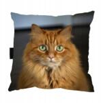  Vörös macska alvópárna 40x40 Ajándék (kotrudy2)