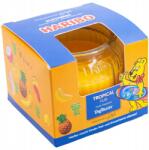 HARIBO Illatos gyertya Haribo dobozban Tropical Fun (4260725369172)