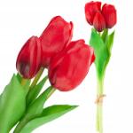 Martom CV17690-7 Gumírozott Szilikon Tulipán Csokor 3DB Lux Piros Tulipán (CV17690-7)