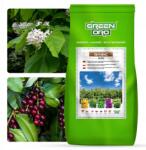 Green Oro Őszi Tápoldat Babérmeggyhez, Puszpánghoz, Katalpához, Sövényekhez Basic Aki 5kg (Nawóz Jesienny do Laurowiśni Basic AKI 5kg)