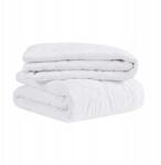  Egész Éves Antiallergén Paplan Szett, Extra Puha, 2 db 200 x 220 cm, Fehér (B0CDL6GNTJ)