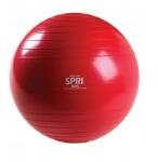  Spri Xercise Gimnasztikai labda edzéshez 65cm (98516)