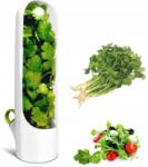  Friss Fűszernövény Tartó Petrezselyem Zöldhagyma Snidling Hűtőbe (20231124)