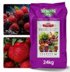 Green Oro Oro Fruits műtrágya málnához, szederhez, gyümölcsbokrokhoz, zöldségekhez, 100 napos hatás, 24 kg, Green (Nawóz do Malin Jeżyn drzewek owocowych 24kg)