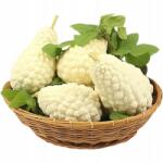  Uborka Balzsamkörte Magok Kínai Keserű Dinnye Fehér Szett 10 Darab (B083FMH8JV)