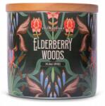 Colonial Candle Szójaviasz illatgyertya Bodzaerdő 411 g (665098507093)