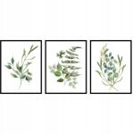  Triptichon poszter szett virágok levelek növények grafika botanika 3x- 21x30cm (rośliny zielone liście tryptyk botanika)