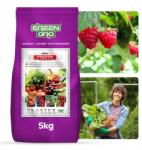 Green Oro Műtrágya Málnához és Gyümölcsökhöz, Többkomponensű Oro Fruits, 100 napos, 5kg Green Oro (Nawóz do Malin owoców Jeżyn 100dni 5kg)