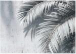 Wallarena Fotótapéta Pálma Levelek Beton Hálószoba Nappali Tapéta Vlies 150x105 (FOTOTAPETA ŚCIENNA 16128VX3)