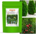 Green Oro Őszi Táp Thujákhoz, Tiszafákhoz, Fenyőkhöz, Ciprusokhoz, Tűlevelűekhez Hydro Aki 1, 5kg (Nawóz Jesienny do Tui Iglaków Cisów 180 dni)