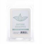 Colonial Candle Szójaviasz illatgyertya kockák Eukaliptusz 70 g (665098606963)