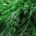  Rohoznicei Farm Friss Kapor Olaszország 100 g