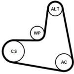 Continental Ctam Set curea transmisie cu caneluri CONTINENTAL CTAM 7PK1195 ELAST K1 (7PK1195 ELAST K1)