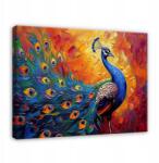 Wallarena Páva Kép Színes Absztrakt Modern Vászon Falra Hálószobába 60x40 (Obraz Abstrakcja Nowoczesny PP15287O4)