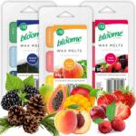 Bloome Illatviasz Illatviaszok Illatpárologtatóba, Aromalámpába, Frissítő az Otthonába 36 (wosk zapachowy mix)